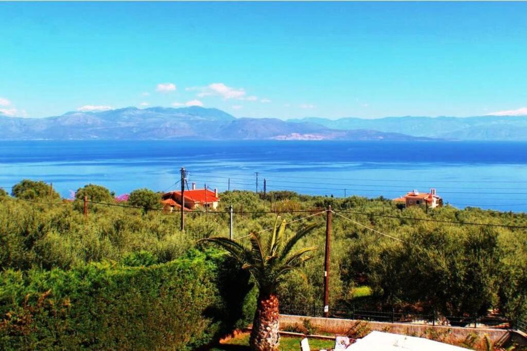 Platanos Estate Villa Akrata Dış mekan fotoğraf