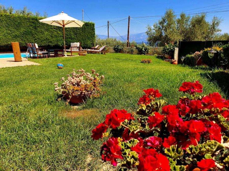 Platanos Estate Villa Akrata Dış mekan fotoğraf