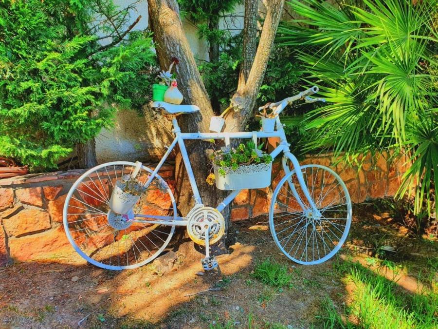 Platanos Estate Villa Akrata Dış mekan fotoğraf